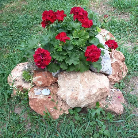 D&m Affittacamere 4*