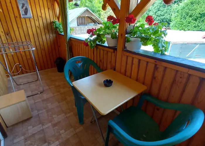 Guest house D&m Neptun